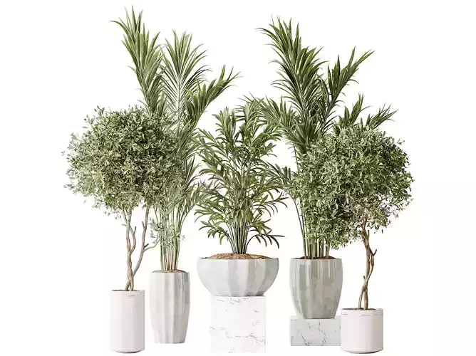 AV-set 167 Artificial Olivo Olea Tree and Areca Majesty Cat Reed