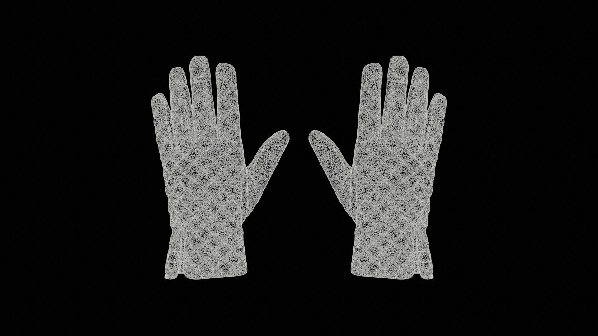 20 Glove Superbundle 3D Model Collection_10