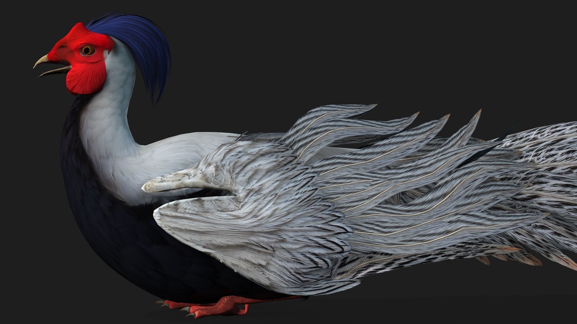 White Pheasant-A1 3D model_17