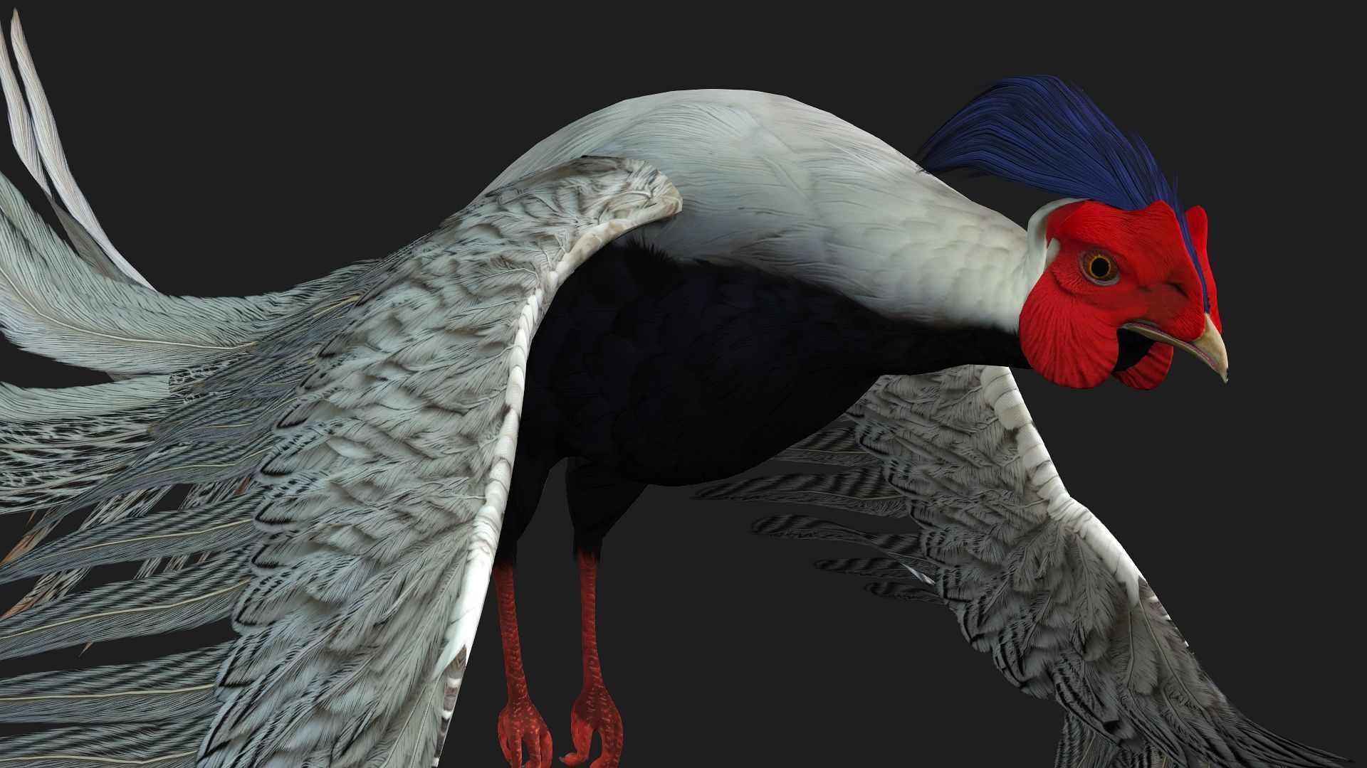White Pheasant-A1 3D model_15