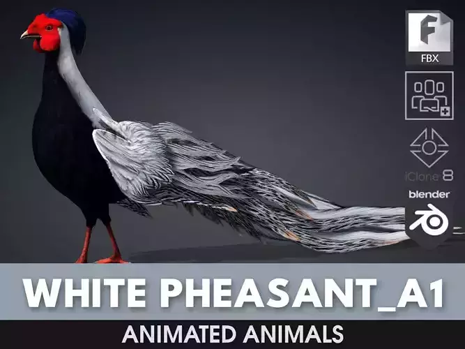 White Pheasant-A1 3D model