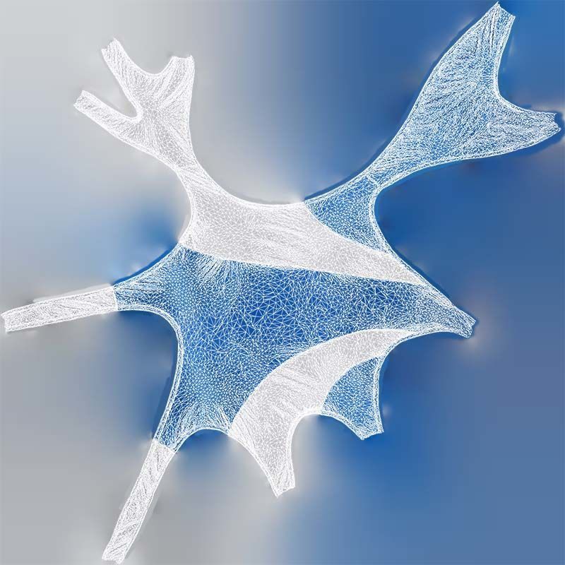 9 Bodysuit Swimsuit Superbundle 3D Model Collection_11