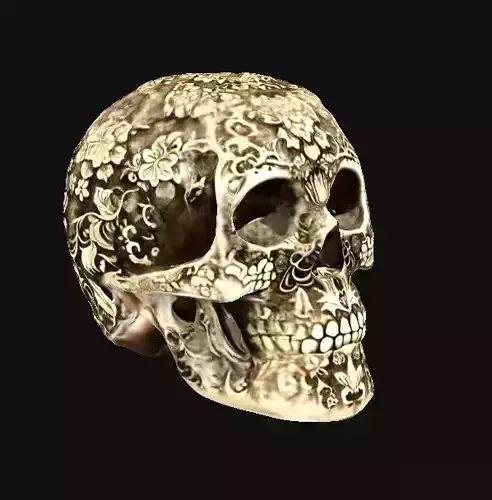 Skull