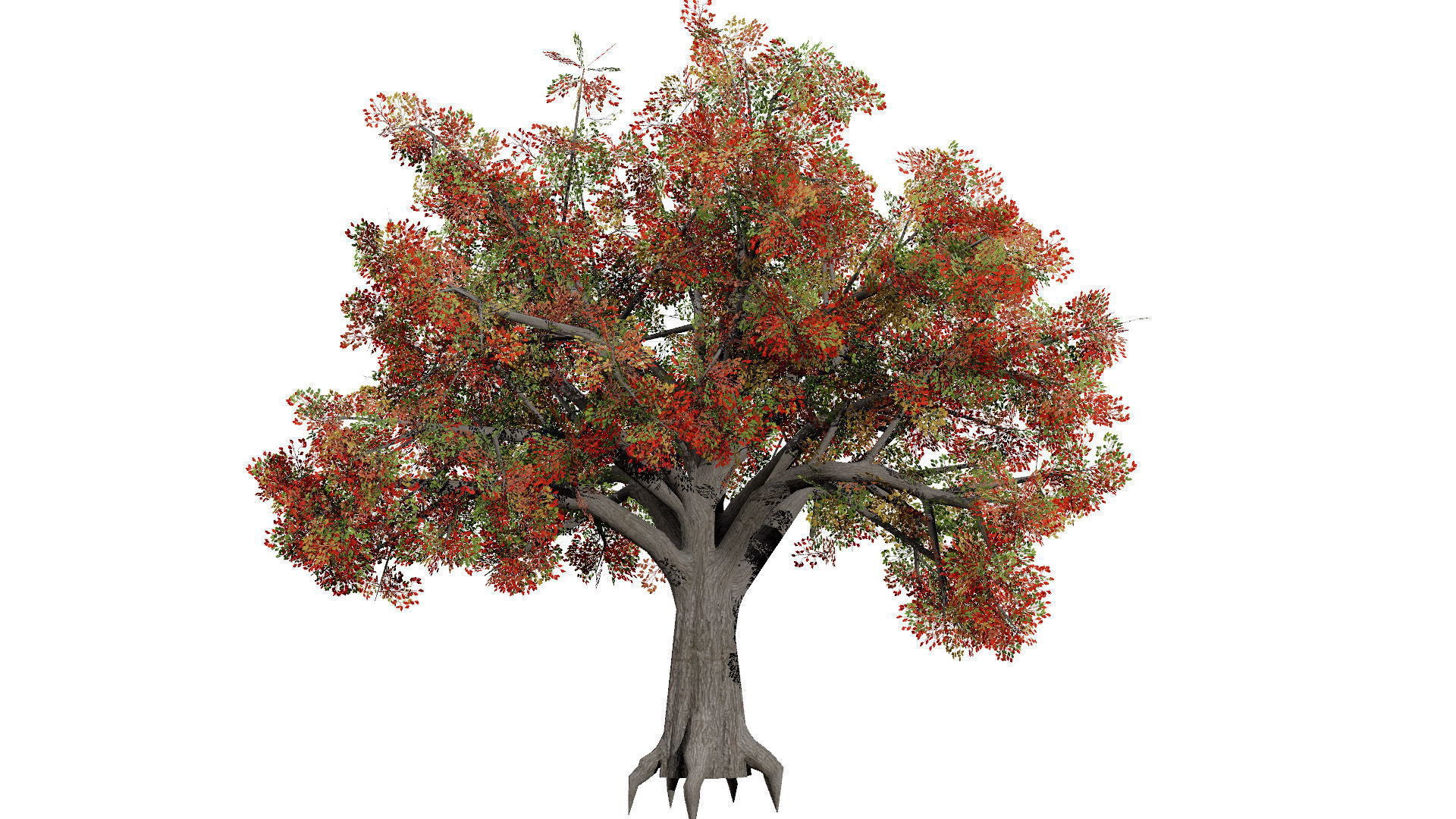 Quercus Tree Pack Low-poly 3D model_5