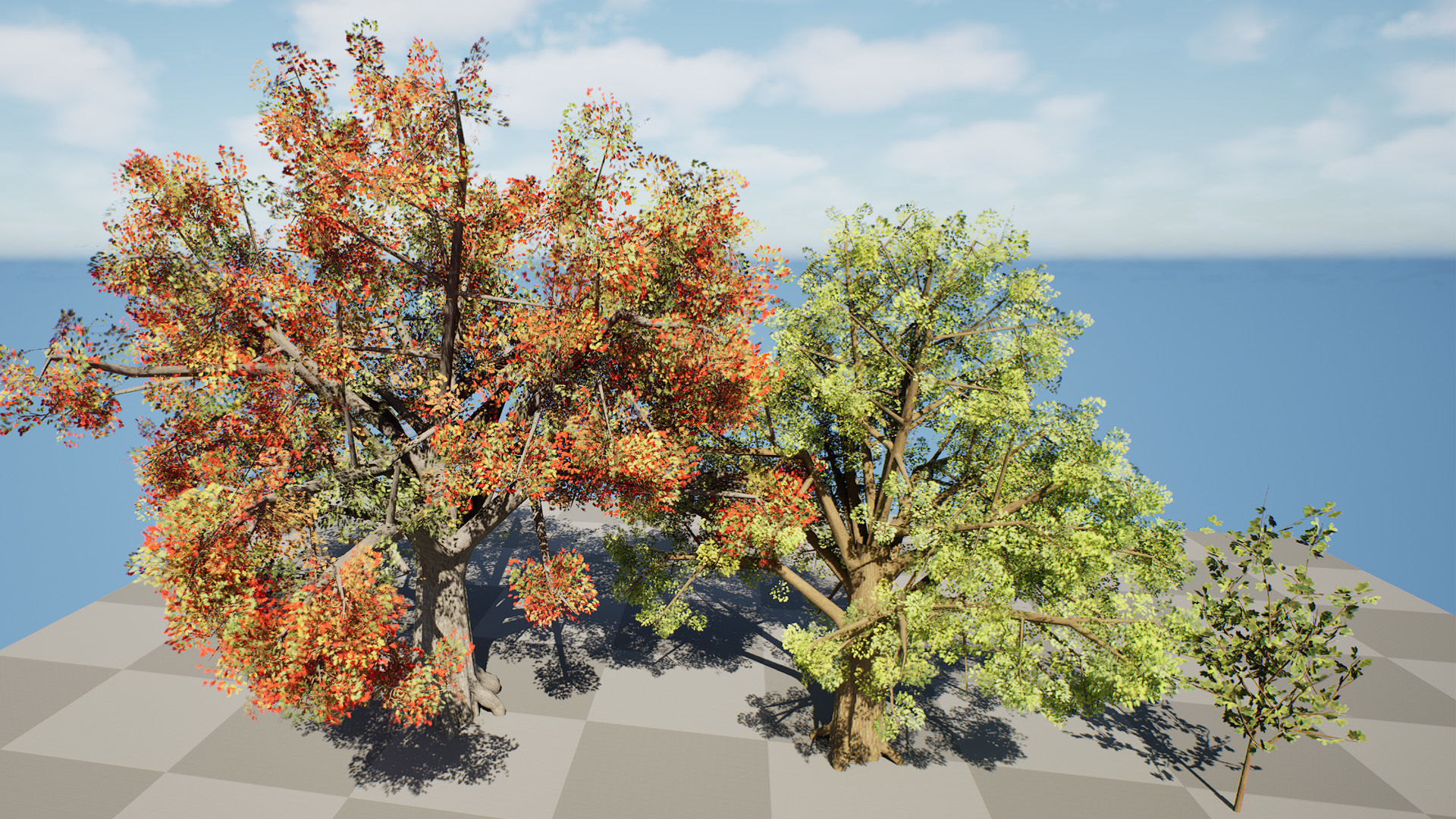 Quercus Tree Pack Low-poly 3D model_10