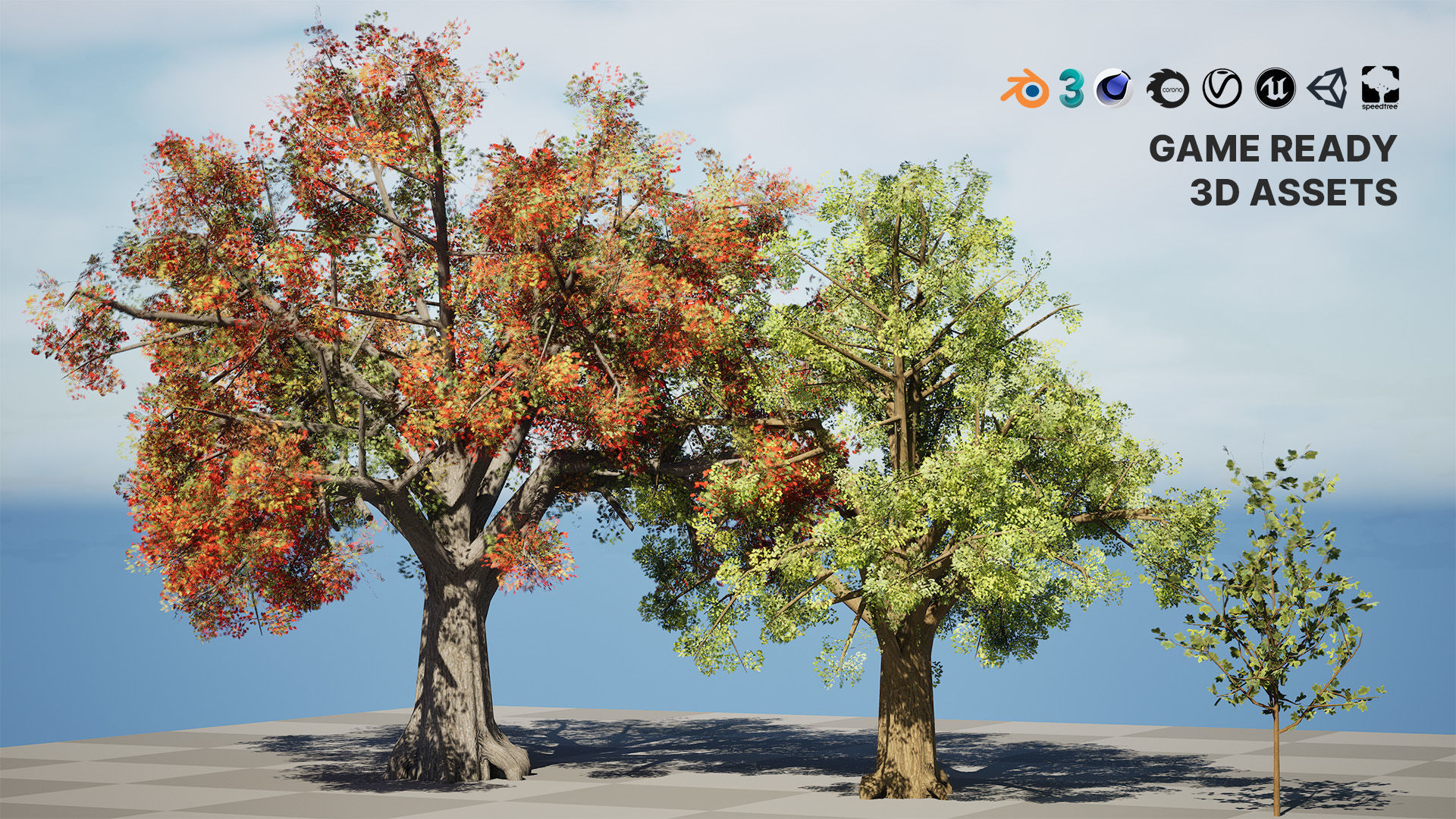 Quercus Tree Pack Low-poly 3D model_2