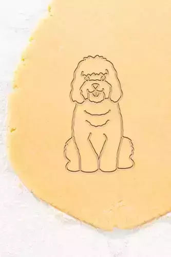 Dog Cookie Cutter -  Biscuit Cutter