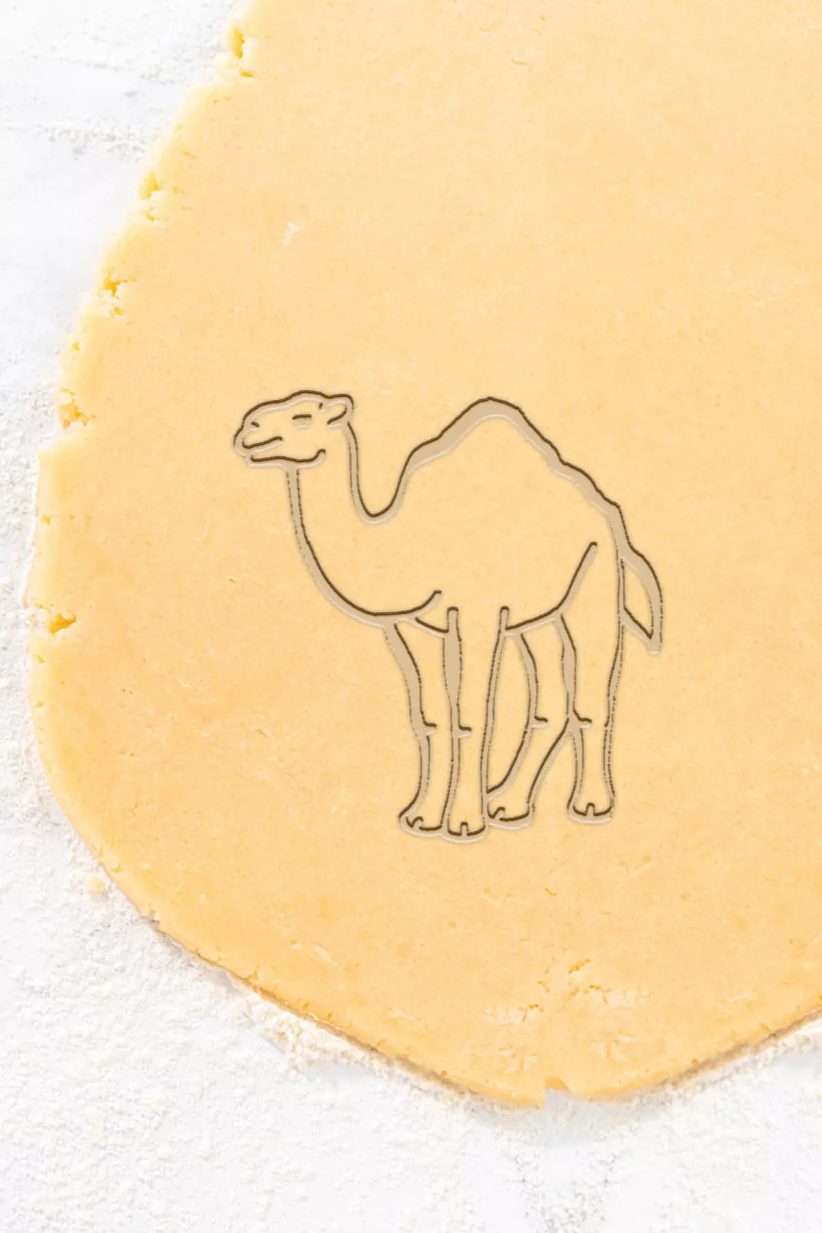 Camel Cookie Cutter - Biscuit Cutter 3D print model