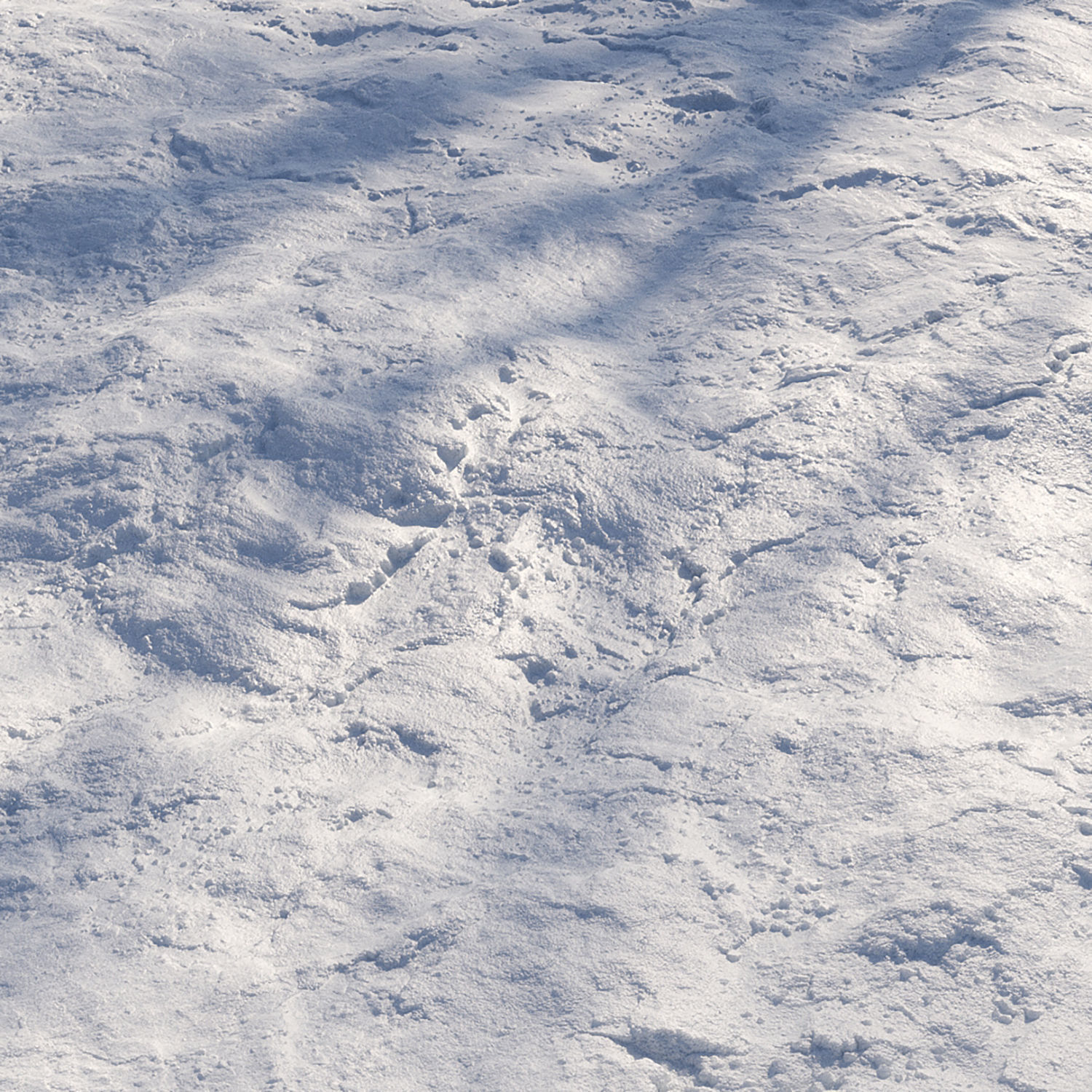 Seamless PBR snow materials Texture_1