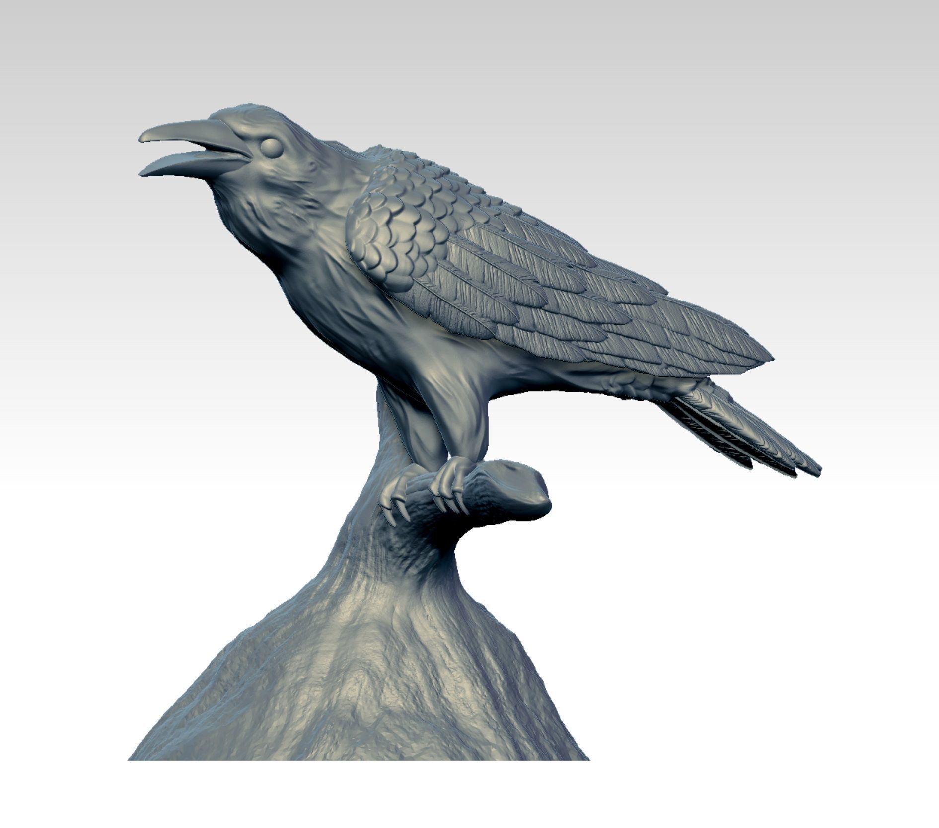 Raven  3D print model_4