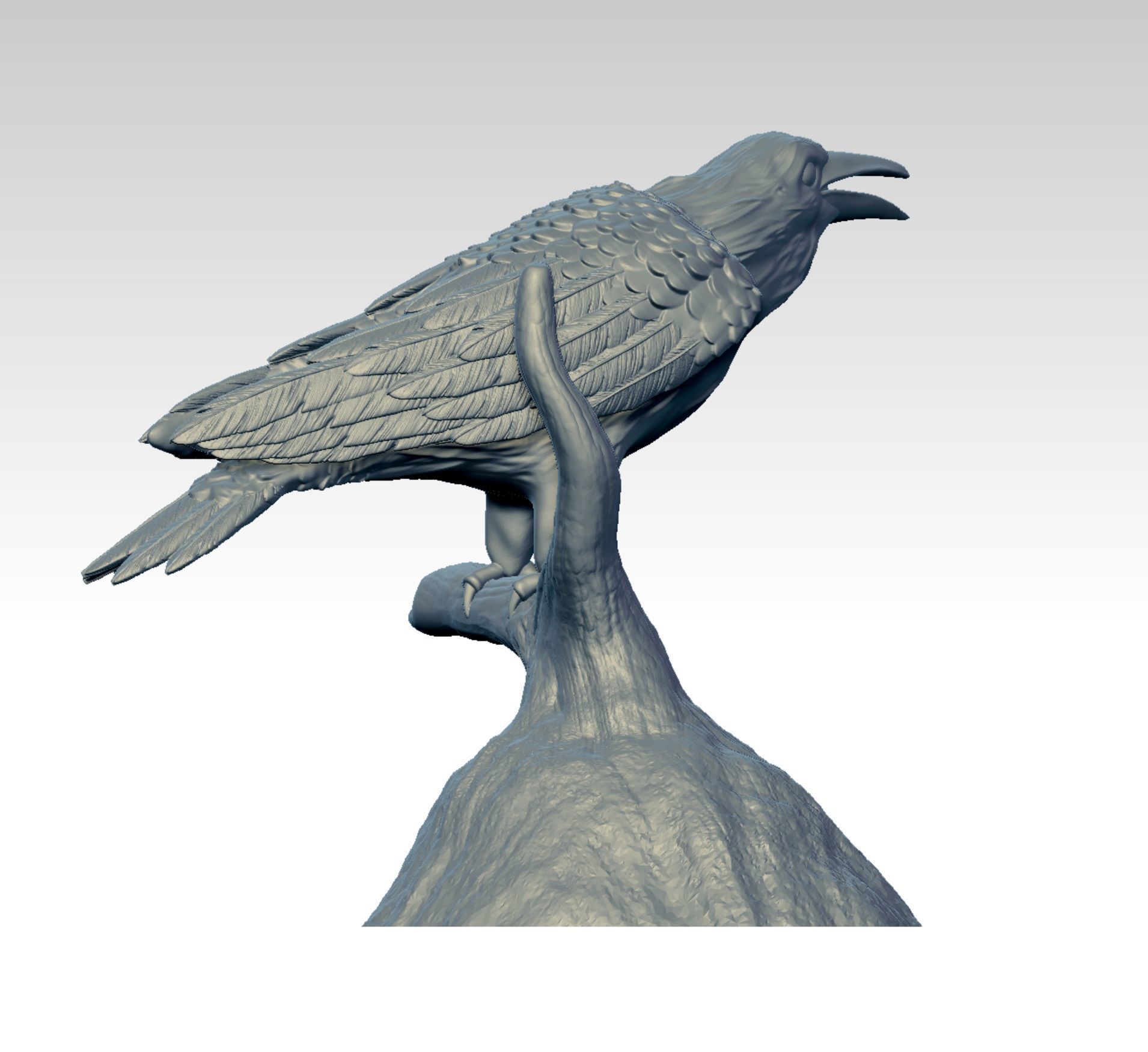 Raven  3D print model_2