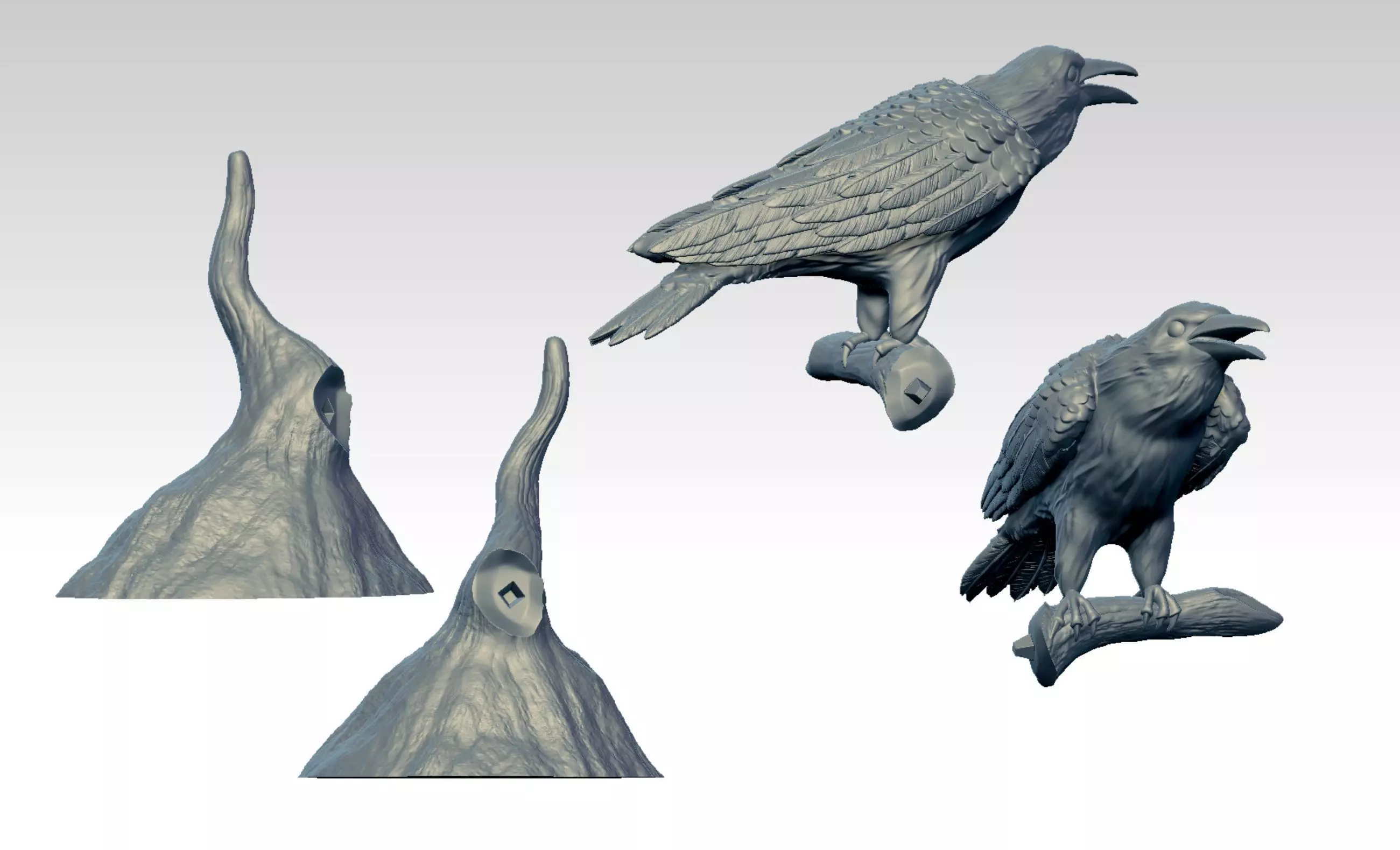 Raven  3D print model_0