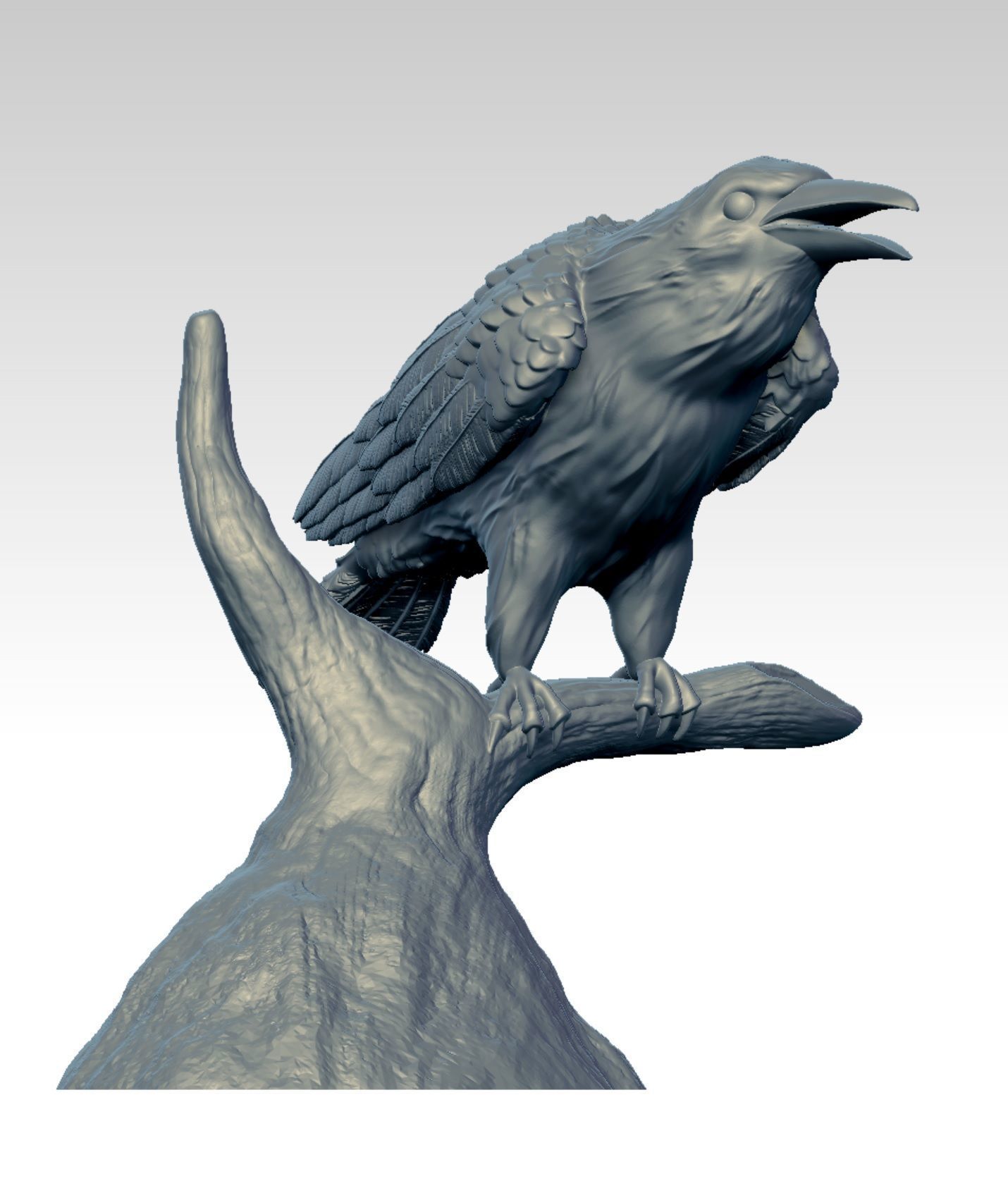 Raven  3D print model_1