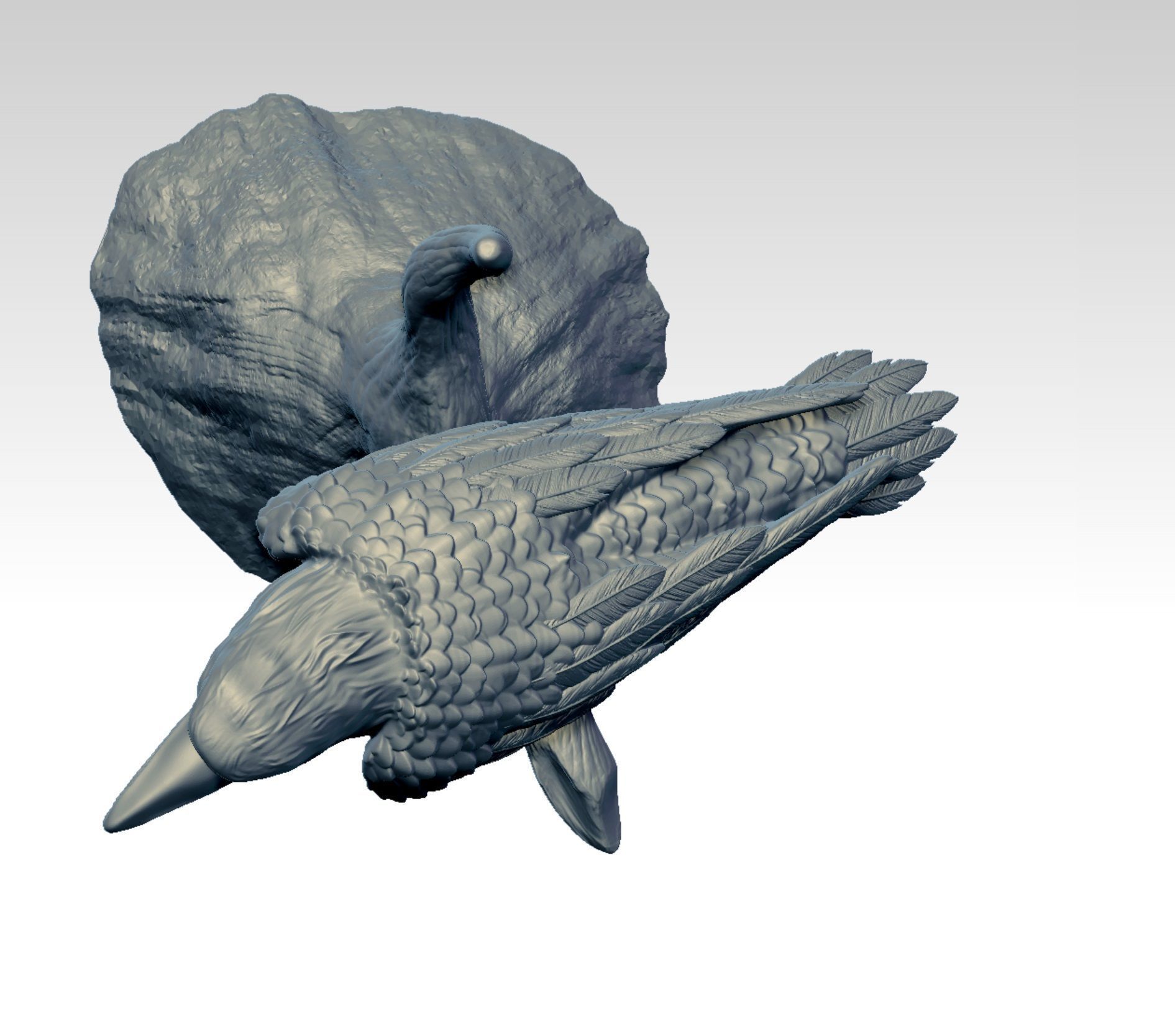 Raven  3D print model_5