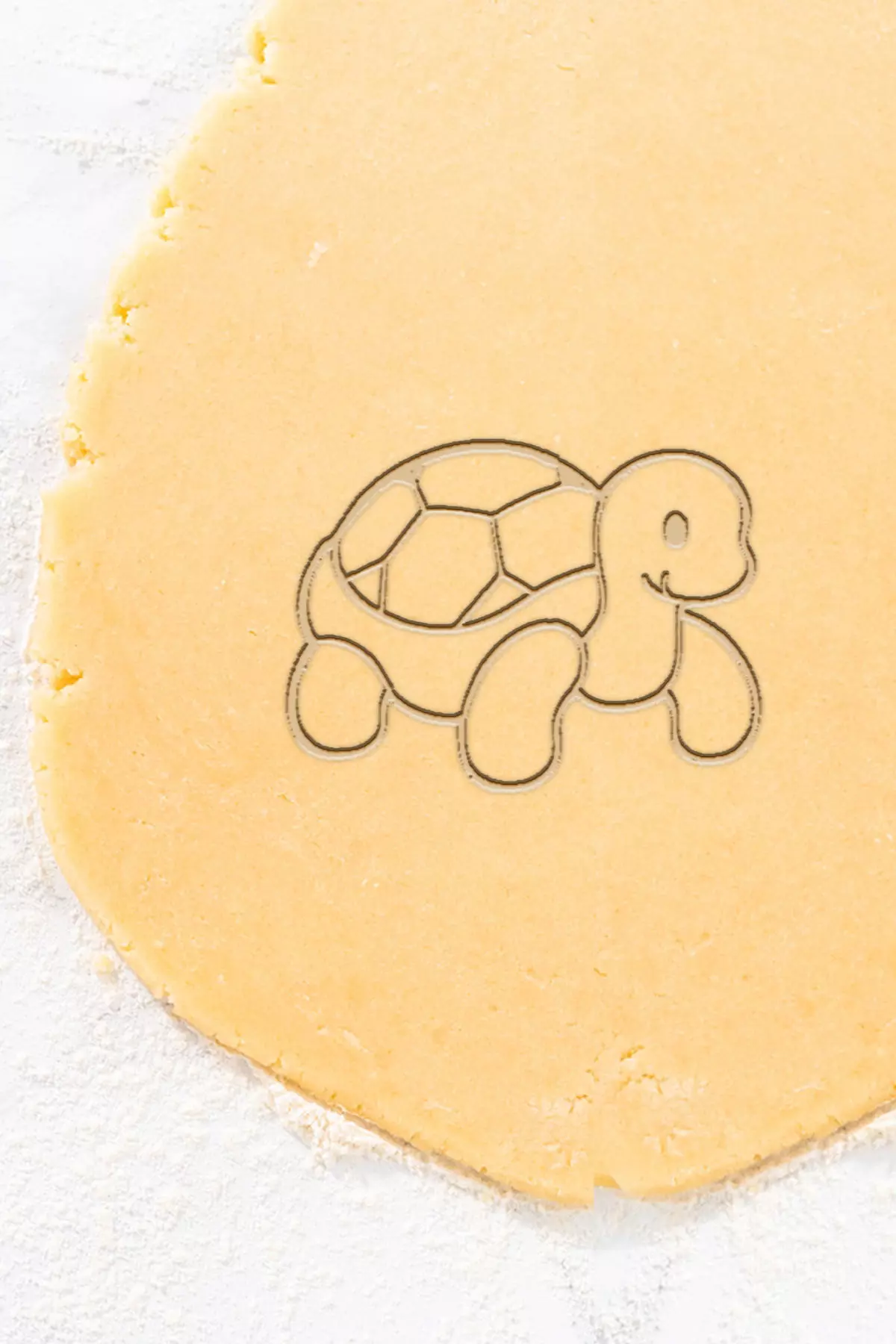 Cute Tortoise Cookie Cutter - Biscuit Cutter 3D print model