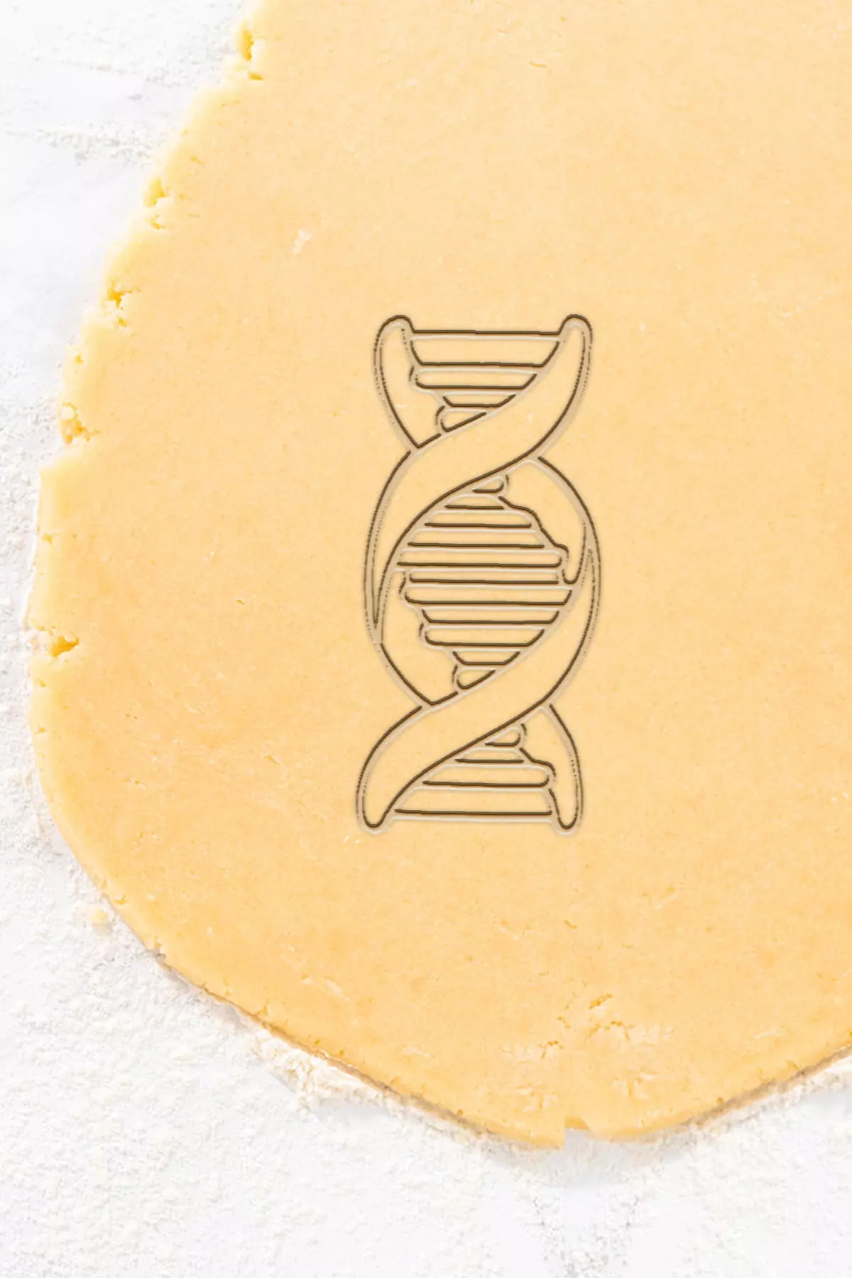 DNA Cookie Cutter - Biscuit Cutter 3D print model
