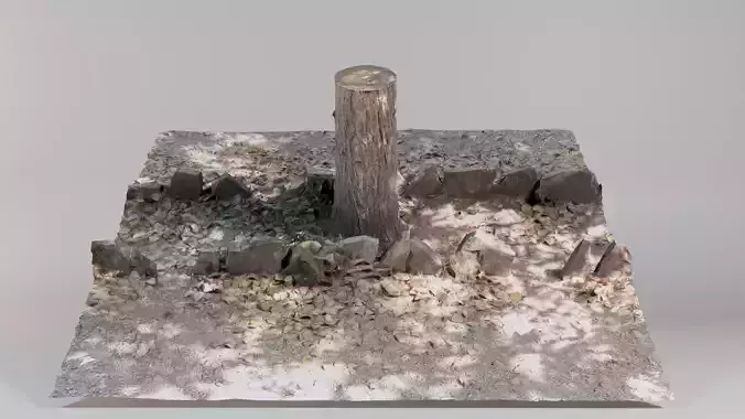 Tree trunk with stones photoscan