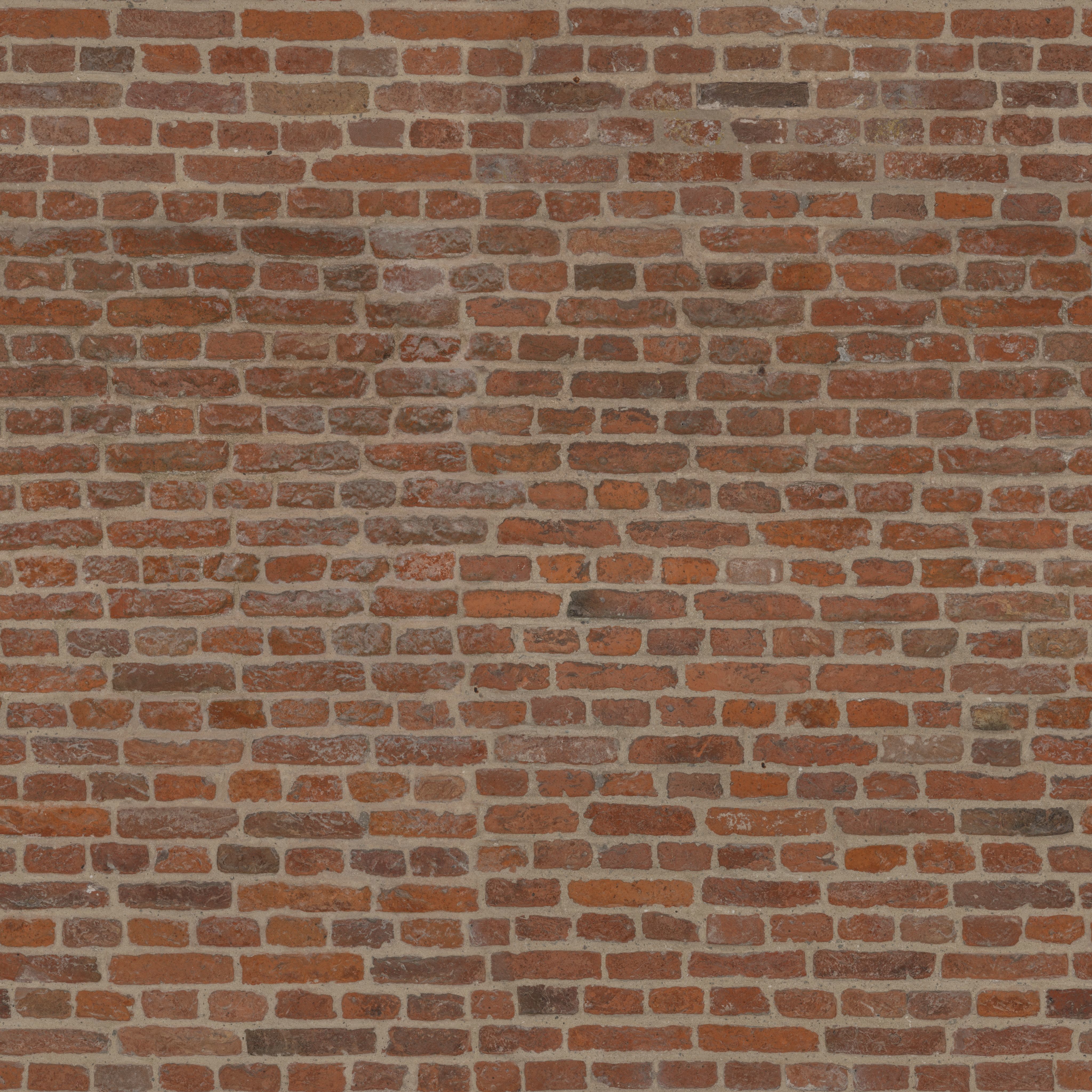 peggy porschen cafe london 3D model_53