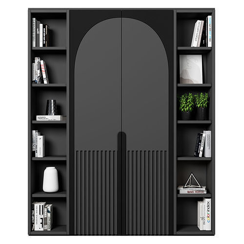 Cabinet with shelves 17 3D model