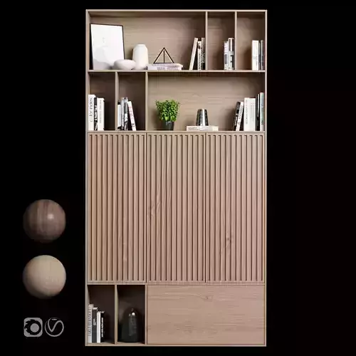 Rack and Bookcase 019