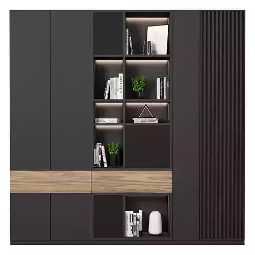Cabinet with shelves 21