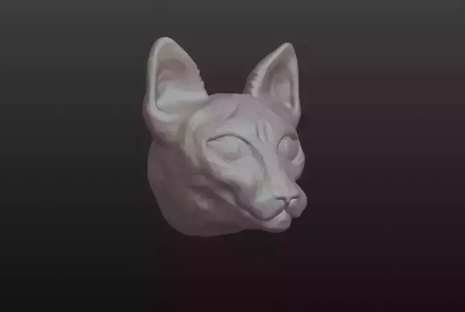 Sphynx Cat head 3D model 
