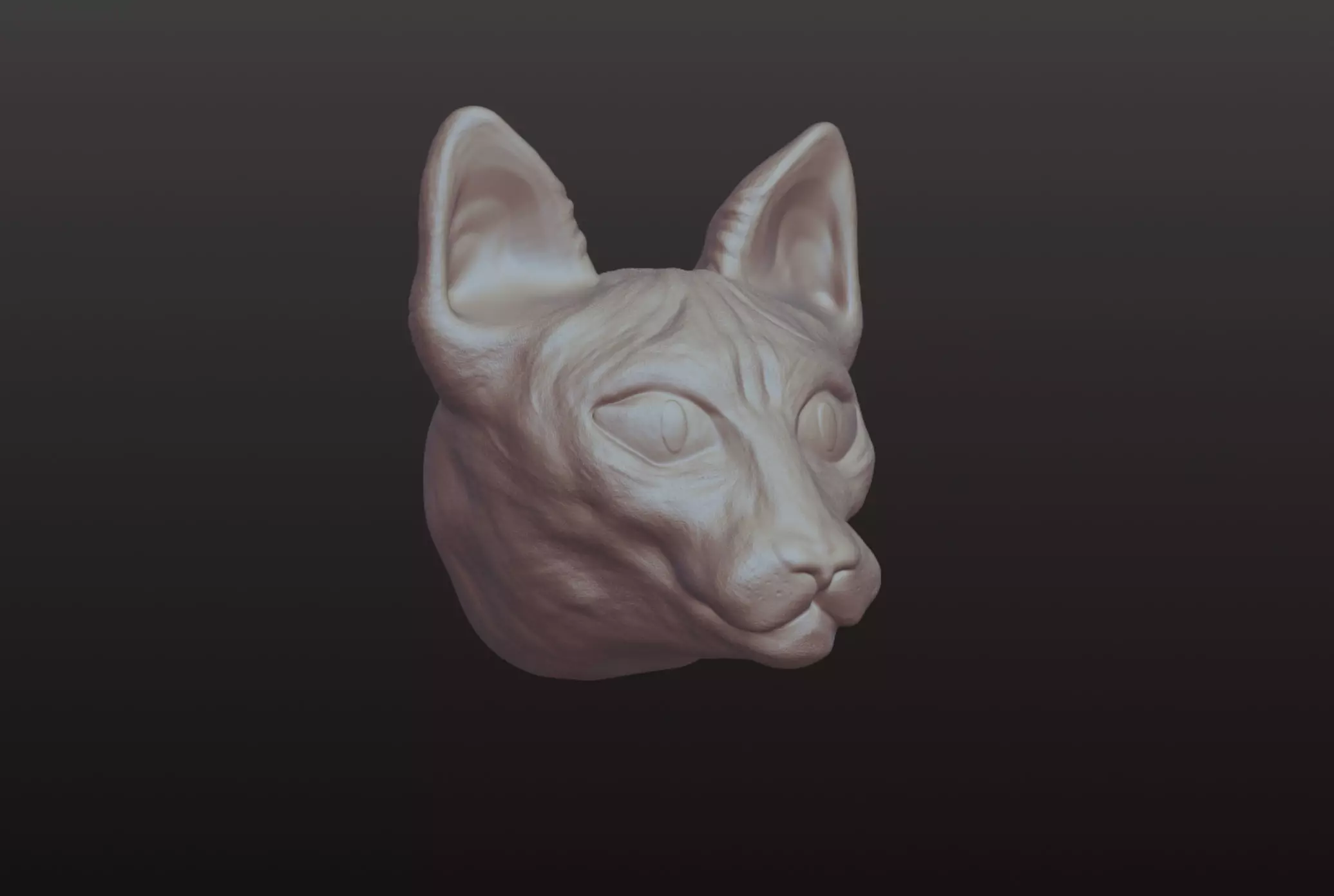 Sphynx Cat head 3D model  3D model_0