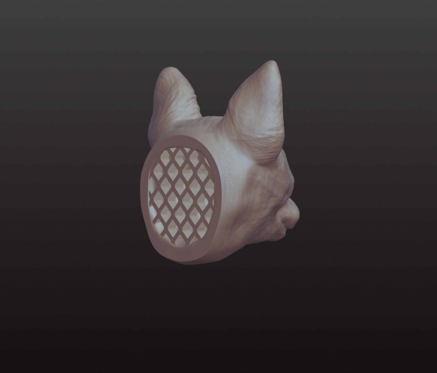 Sphynx Cat head 3D model  3D model_2