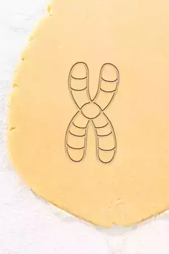 Chromosome Cookie Cutter - Biscuit Cutter