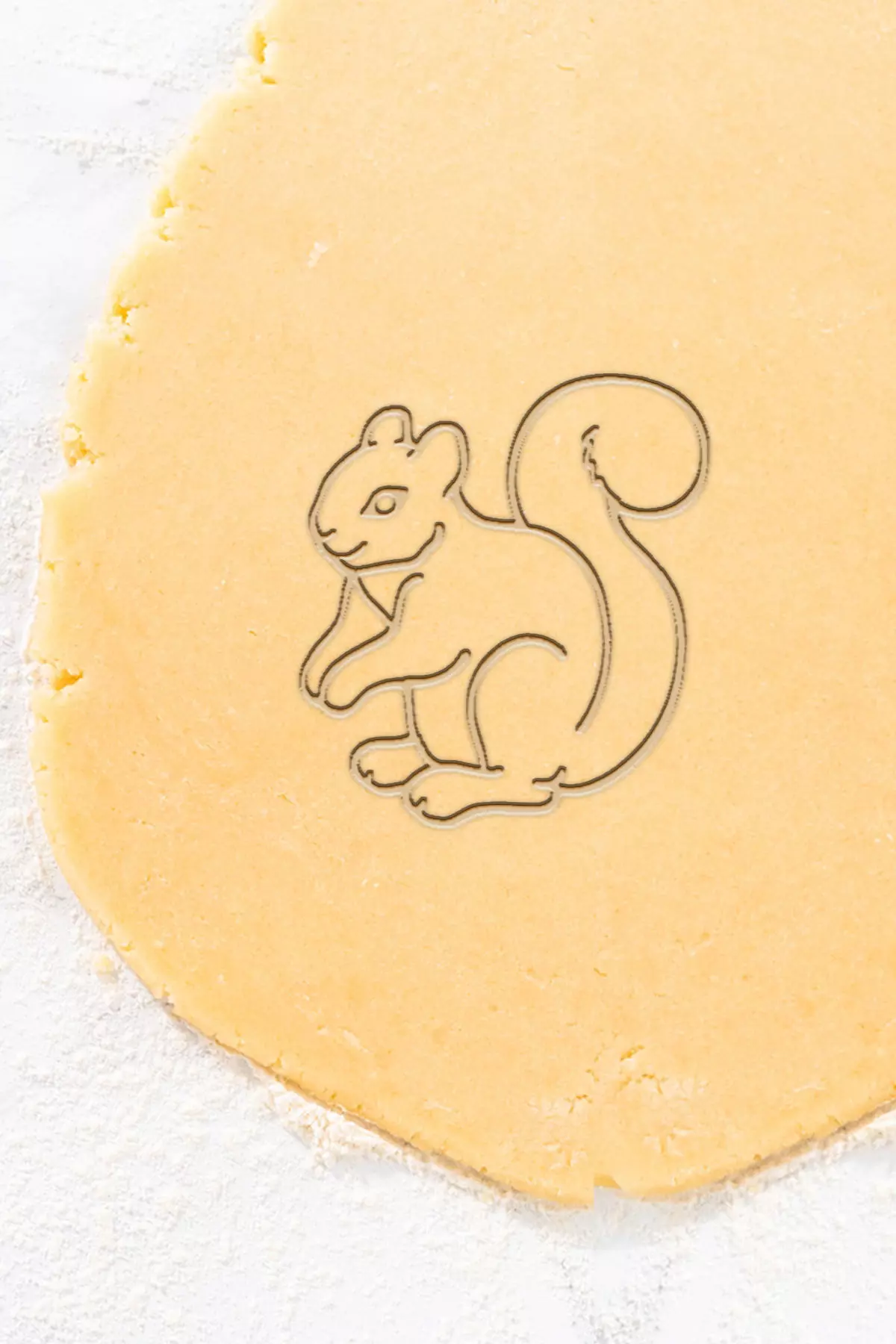 Squirrel Cookie Cutter - Biscuit Cutter 3D print model