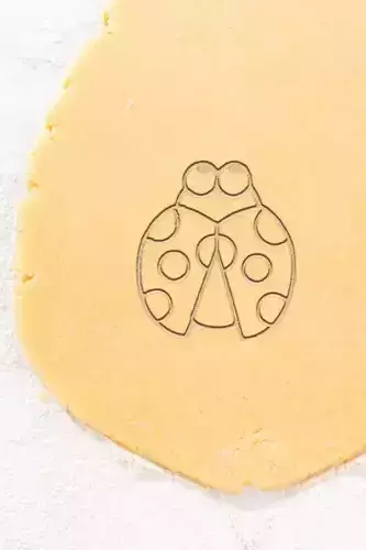 Ladybird Cookie Cutter - Biscuit Cutter