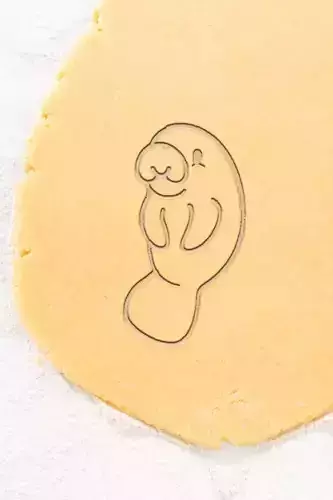 Seal Cookie Cutter - Biscuit Cutter