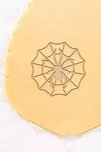 Web With Spider Cookie Cutter - Biscuit Cutter
