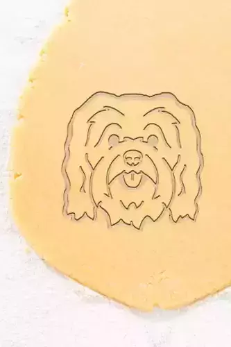 Havanese Cookie Cutter - Biscuit Cutter