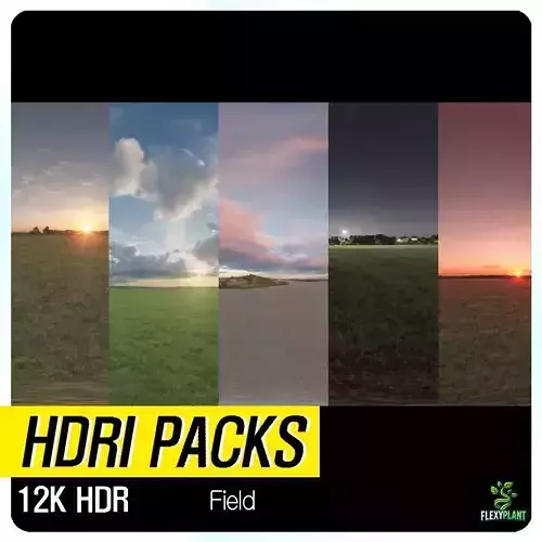 Realistic HDRI 30pcs 12k Field