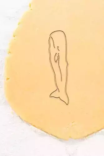Whale Cookie Cutter - Biscuit Cutter