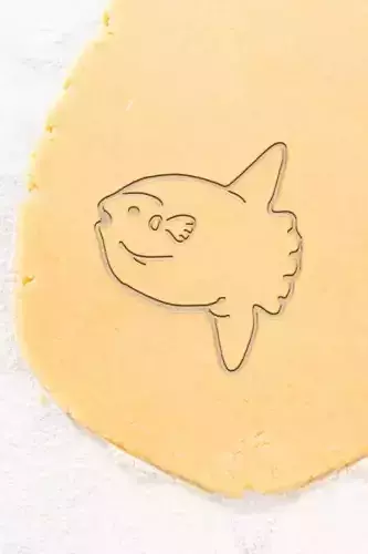 Fish Cookie Cutter - Biscuit Cutter