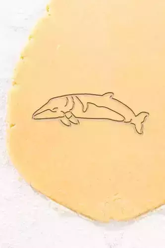 Fish Cookie Cutter - Biscuit Cutter