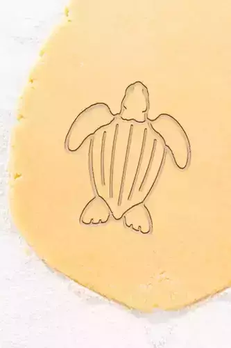 Turtle Cookie Cutter - Biscuit Cutter