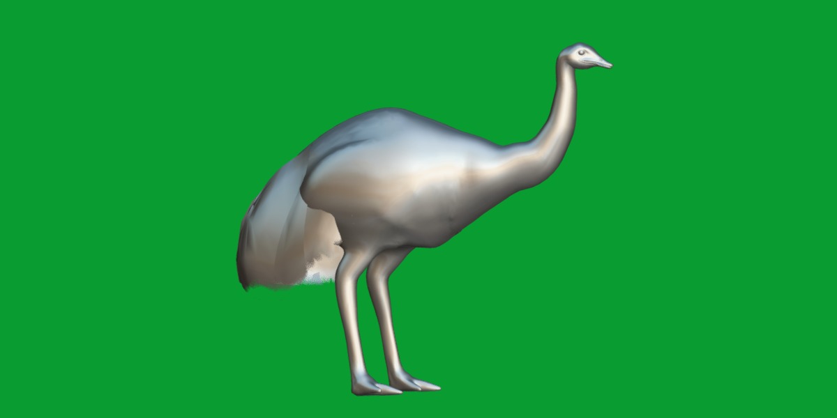 Emu Bird Low-poly 3D model_8