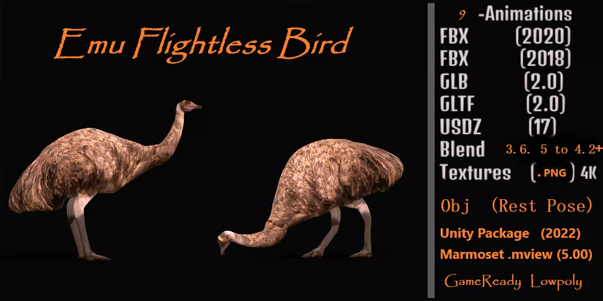 Emu Bird Low-poly 3D model_0