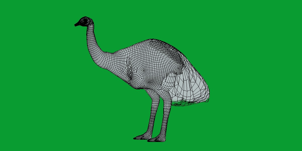 Emu Bird Low-poly 3D model_11