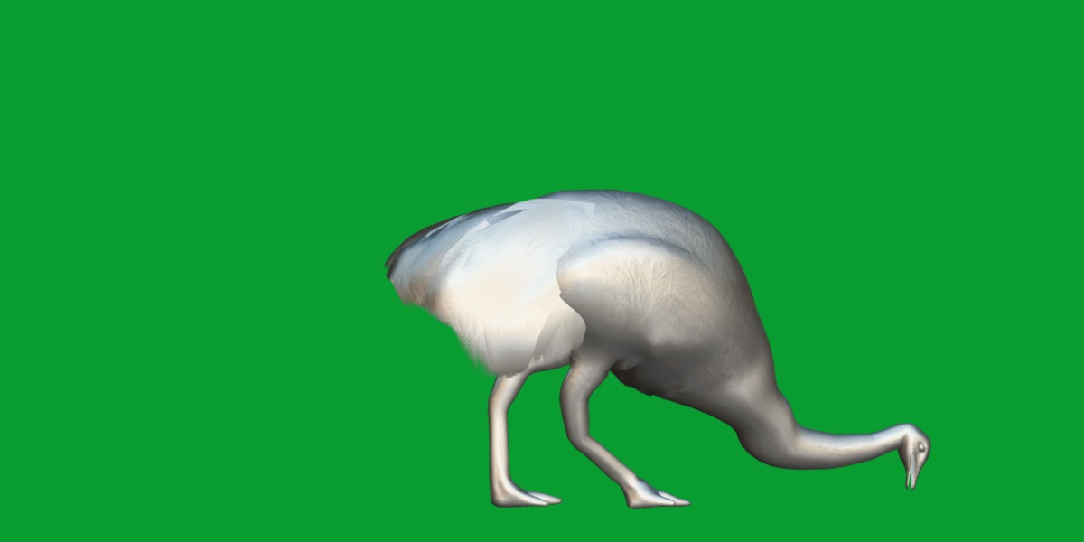 Emu Bird Low-poly 3D model_9