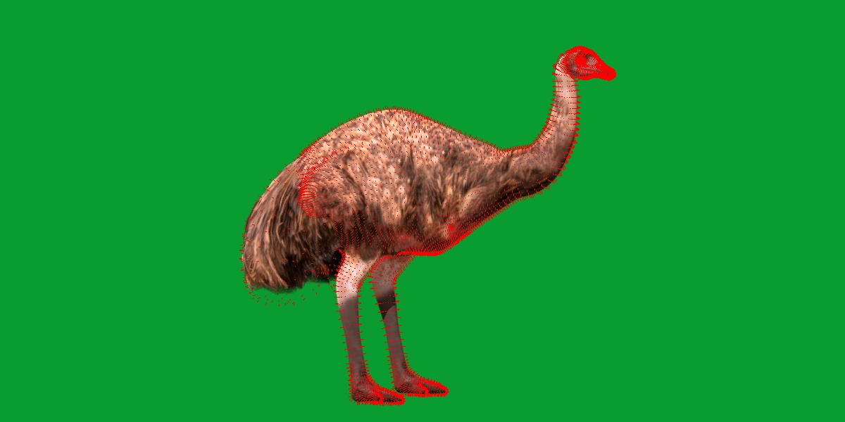 Emu Bird Low-poly 3D model_12