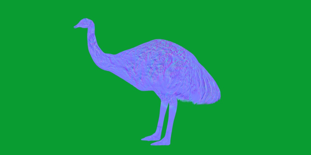Emu Bird Low-poly 3D model_3