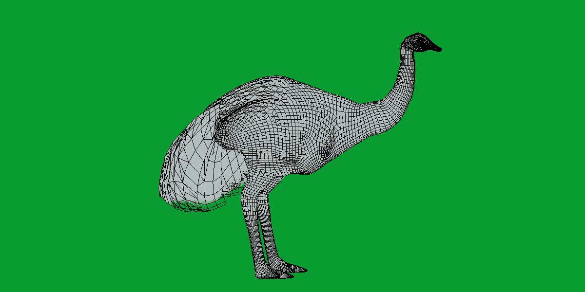 Emu Bird Low-poly 3D model_10