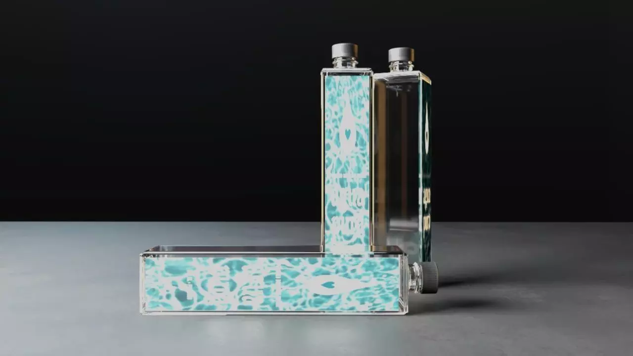 water bottle Low-poly 3D model_0