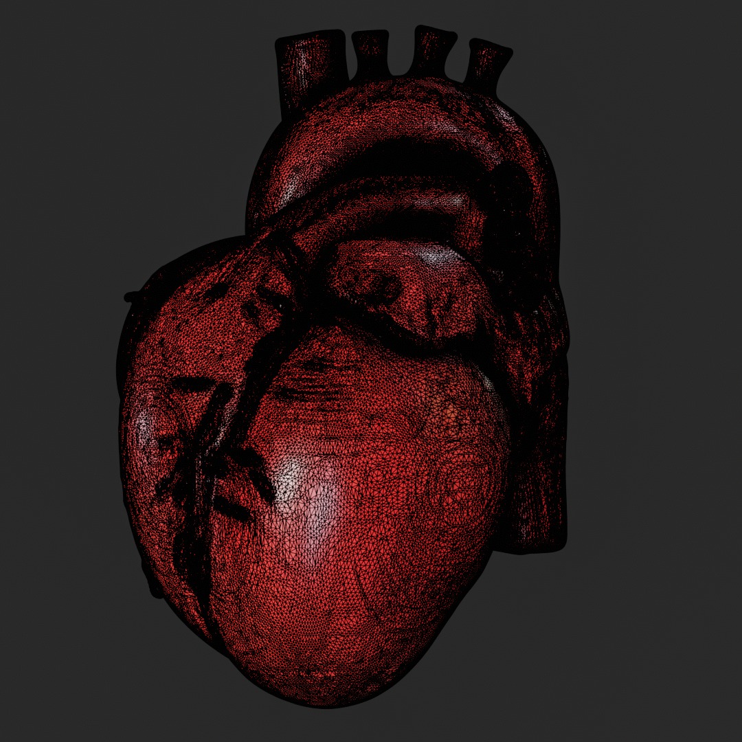 Human anatomy Heart for 3D Printing and Educational Purposes 3D print model_11