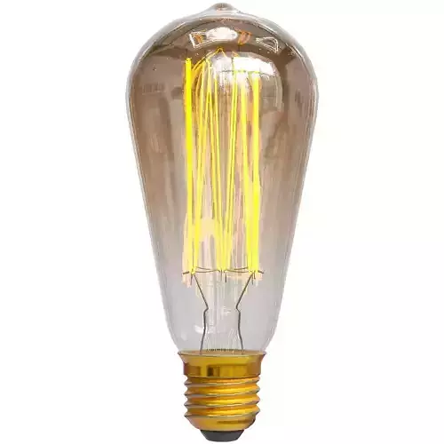 Edison Light Bulb