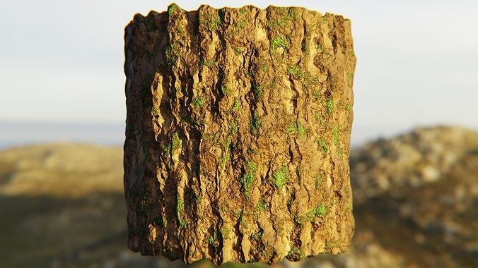 Procedural Mossy Tree Bark Shader - PBR Nature Texture Texture